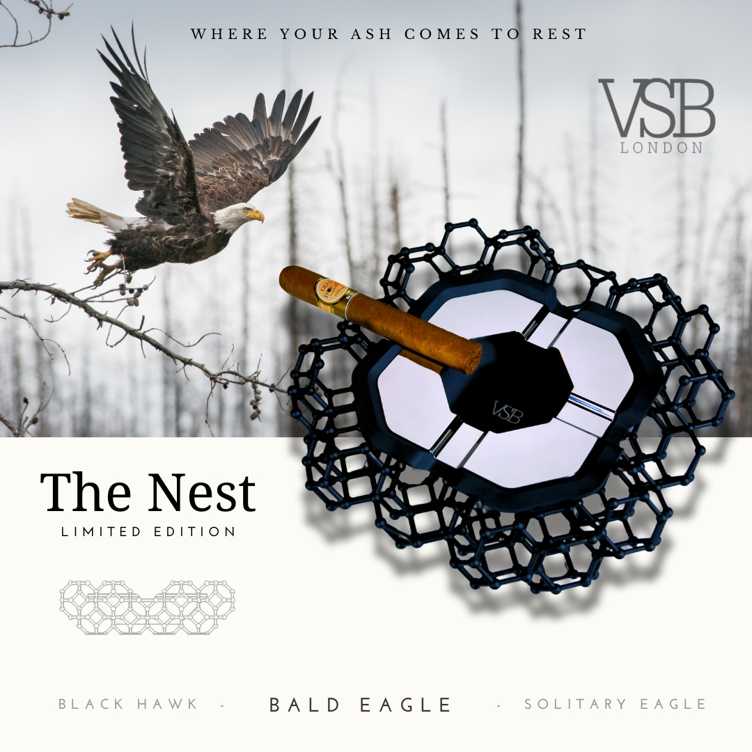 The Nest - Bald Eagle